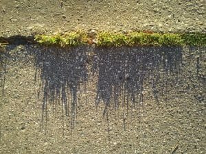 gras door beton
