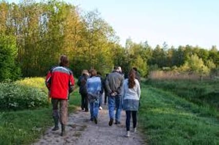 Wandel uit de schaduw naar het licht